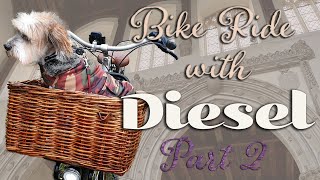 Stunning Medieval Church  BIKE RIDES amp HISTORY with MY DOG  part 2 [upl. by Gregoor]