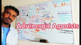 Pharmacology10Adrenergic AgonistsAfSoomaali [upl. by Malone]