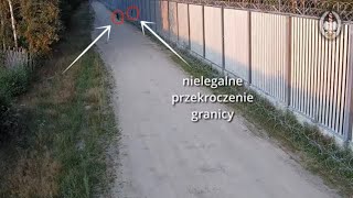 Granica polskobiałoruska Straż Graniczna zatrzymuje nielegalnych imigrantów przy zaporze na granicy [upl. by Fortuna924]