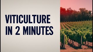 Viticulture in 2 Minutes [upl. by Aiceila]