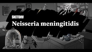 Neisseria Meningitidis Meningitis Causes amp Prevention Part 1  Sketchy Medical  USMLE Step 1 [upl. by Nyliahs]