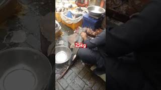 25 Kg Goonch Catfish Cutting Skills In Fish Market fishcutting fishing food freshwaterfish [upl. by Telfore]