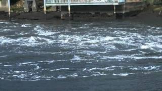 Tsunami Surge Depoe Bay Oregon Aboard CV Morning Star 31111 [upl. by Ecinnaj]