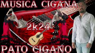 MUSICA CIGANA 2024 PATO CIGANO musicacigana rumbaportuguesa españa portugal [upl. by Ewell]