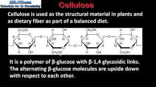 B10 Starch glycogen and cellulose HL [upl. by Etnaik]