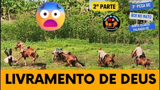 Livramento de Deus vaqueiro voa por cima do cavalo 3° pega de boi no mato monte Claros Palmácia Cê [upl. by Llerdnam]