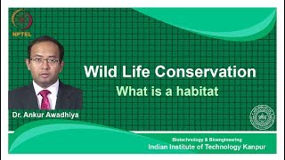 noc18bt26Lecture 11What is habitat [upl. by Hadihahs]