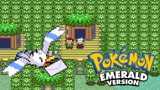 The errand Wingull in Pokemon Emerald [upl. by Loralyn]