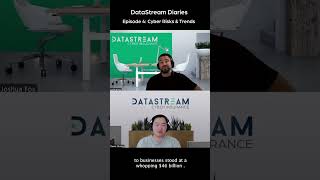 DataStream Diaries Episode 4 Cyber Risks amp Trends 2024 [upl. by Ahsei]