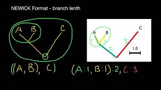 Newick tree format or Newick notation or New Hampshire tree format [upl. by Ungley]