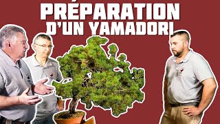 Préparation dun Yamadori pour la Formation NEJIKAN à Toulouse 🌱 NEJIKAN BONSAI 🌱 [upl. by Airetas]