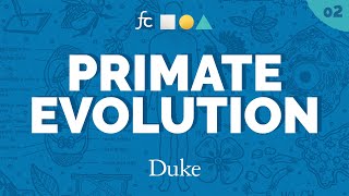 Primate Evolutions Tangled Tree  Fundamental Concepts with Jenny Tung [upl. by Tate]