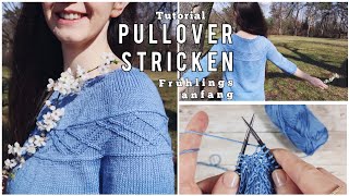 Einfachen Pullover von oben stricken  Muster amp Arme [upl. by Atinuj262]