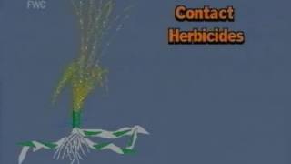 Herbicide Terminology Contact Systemic [upl. by Ailegnave702]