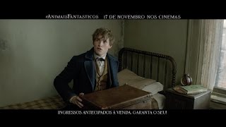 Teaser trailer de quotAnimais Fantásticos e Onde Habitamquot 4K [upl. by Kala]