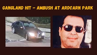 Gangland Hit  Ambush at Ardcarn Park  UK Street Crime Studios [upl. by Aliak]