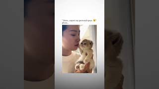 Kitten Doesnt Like Kisses Hilarious Reaction to Affection 😹💋 catlovers kittyantics [upl. by Laval]