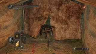 Dark Souls 2 Gyrm Greatshield Aurous armor set and Smelter Demon set [upl. by Drice]