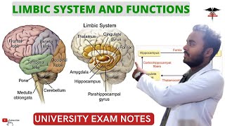 Limbic System amp Functions  CNS Physiology [upl. by Harrison]