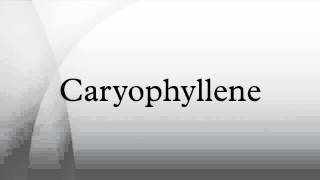 Caryophyllene [upl. by Phylis]