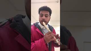 Altaj flute recorder beatbox  baby stop  official video [upl. by Ilak]