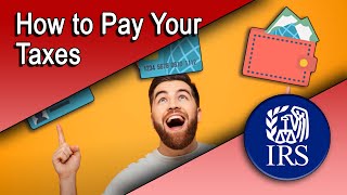 How to Pay Your Taxes [upl. by Beaufort]