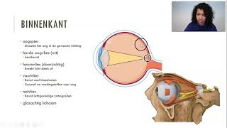 Onderdelen van het oog [upl. by Miriam191]