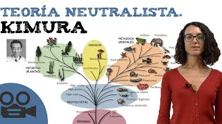 Teoría neutralista de Kimura [upl. by Nhguaved]