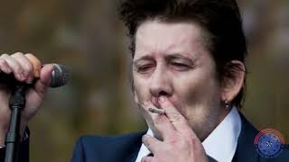 Shane Macgowan Music journey in a MINUTE [upl. by Ayerf194]