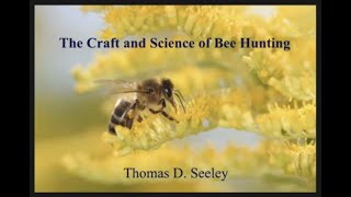 Tom Seeley  The Craft and Science of Bee Hunting [upl. by Juley744]