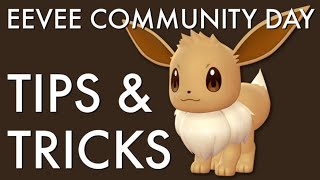 Eevee Community Day 2021 Guide [upl. by Caren]