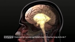 La transformation du cerveau au fil de la vie [upl. by Mcgraw970]