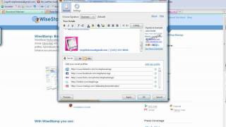 How to Create a Professional eMail Signature Block Using Wisestamp [upl. by Artemed]