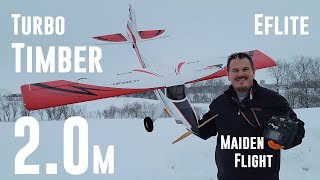 Eflite  Turbo Timber SWS  20m  3x Maiden Flights [upl. by Brendon544]