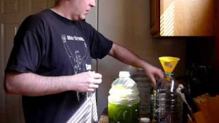 How to grow live marine phytoplankton [upl. by Torrin226]