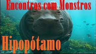 Encontros com Monstros Hipopótamo [upl. by Merralee926]