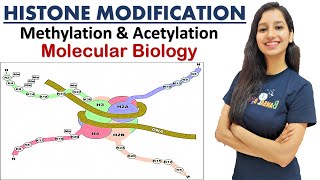 Histone Modification I Methylation I Acetylation Molecular Biology CSIRNET GATE IITJAM DBT ICMR ICAR [upl. by Wenda]