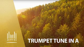 Trumpet Tune in A  The Tabernacle Choir [upl. by Francesca]