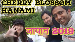 CHERRY BLOSSOM HANAMI JAPAN 2019 II साकुरा जापान II Indian In Japan II Rom Rom ji [upl. by Oran747]