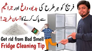 Fridge Cleaning How to get rid from fridge bad smell and germs [upl. by Reehsab]