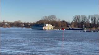 De IJssel staat hoog bij roeivereniging Daventria [upl. by Nedyrb]