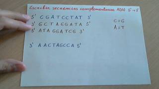 Ejercicio Replicar o duplicar una cadena de ADN Secuencia complementaria de ADN [upl. by Gierk]