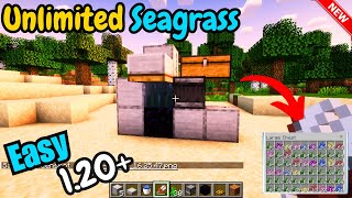 How to Build Automatic Seagrass farm Minecraft 120  Minecraft Sea grass farm [upl. by Analart]