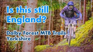 Is this best Yorkshire has  Dalby Forest Trail Guide [upl. by Anitsenre25]