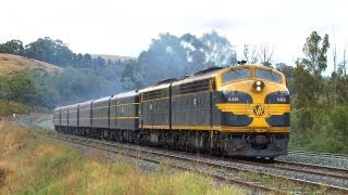 Australian Trains  Seymour Winery Special with Back to Back Blue amp Gold Sat 160313 [upl. by Buller]