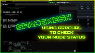 Check status of your Node using GRPCurl  Spacemesh [upl. by Lacie]