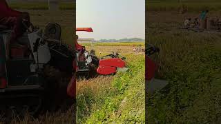 New combine harvester paddy harvester Kubota 99g paddyharvester newharvester farmer combine [upl. by Floro251]