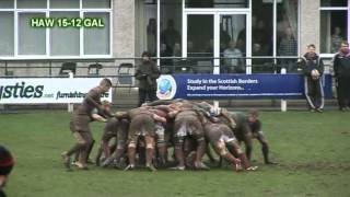 HAWICK v GALA  BORDERS RUGBY HIGHLIGHTS  SCOTTISH PREMIERSHIP  22214 [upl. by Barrus417]