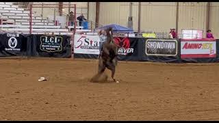 Joy Wargo amp A Hot French Summer aka quotLibertyquot—2024 Texarkana Barrel Race Futurity [upl. by Arreis]