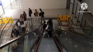 My Arrival To Hong Kong Airport [upl. by Bobinette]